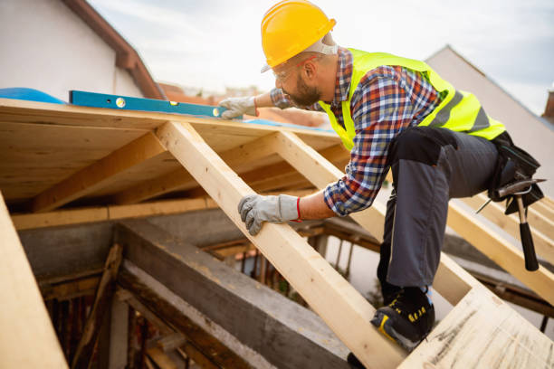Best Roof Gutter Cleaning  in Waite Park, MN