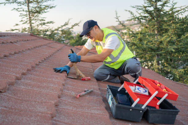 Best Roof Leak Repair  in Waite Park, MN