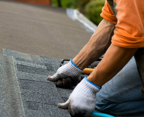 Best Tile Roofing Contractor  in Waite Park, MN