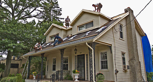 Best Roof Gutter Cleaning  in Waite Park, MN